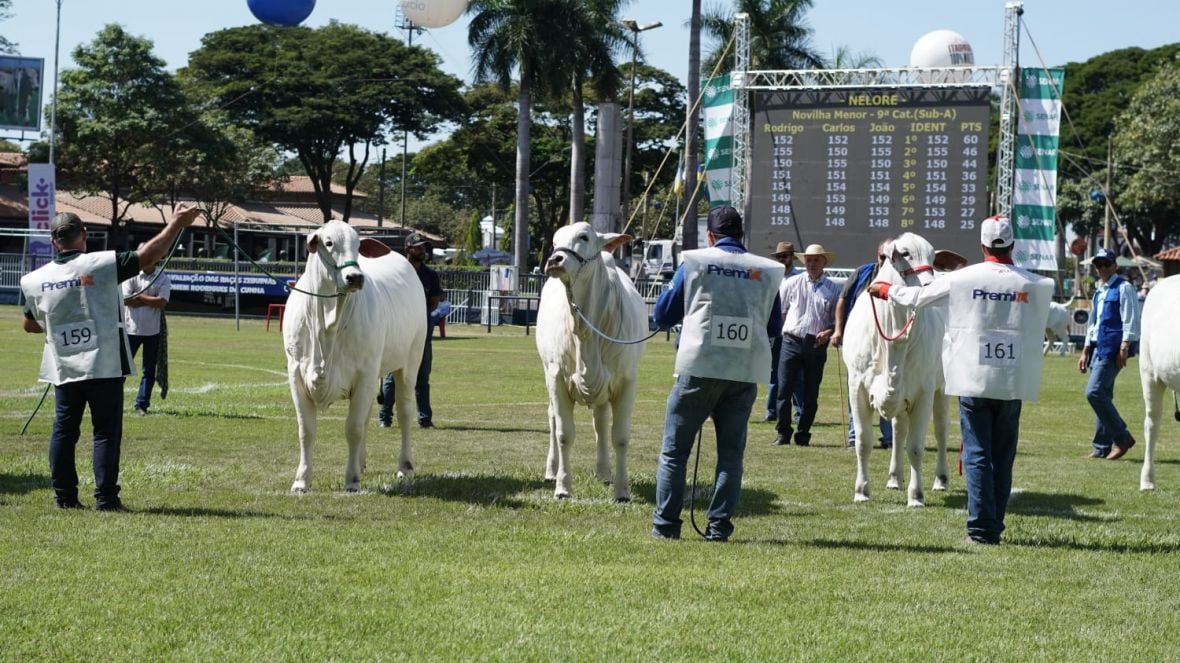 expozebu