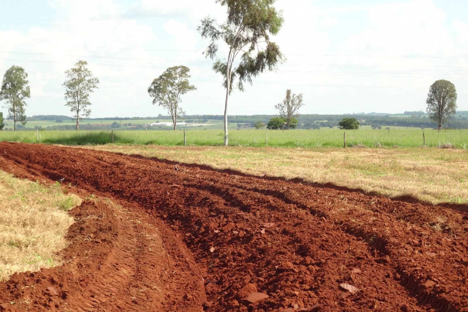 Mudanças climáticas e manejo do solo