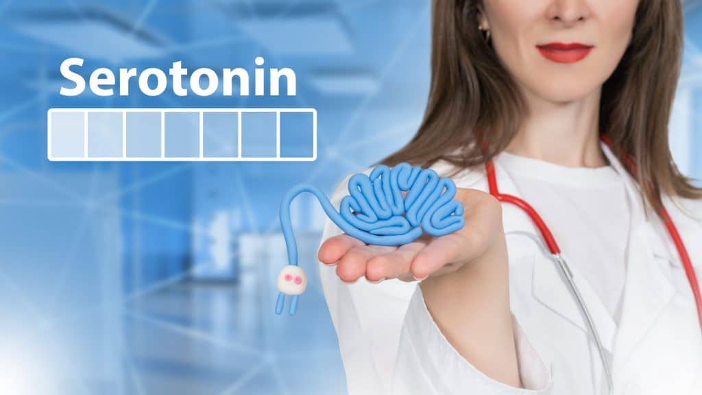 mulher segurando uma peça que se assimila a um cérebro para simbolizar a serotonina