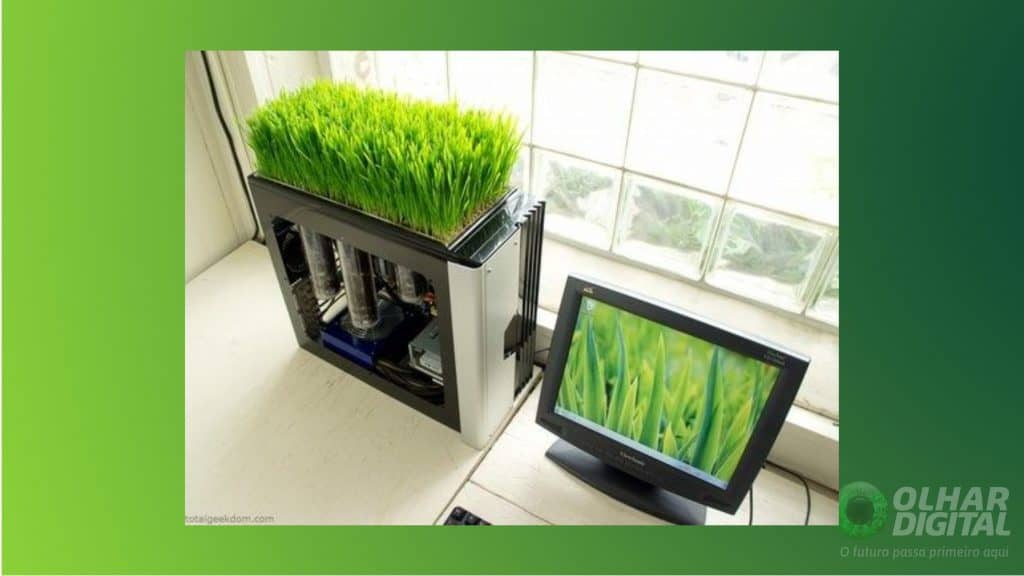 Gabinete como um suporte para vaso de plantas