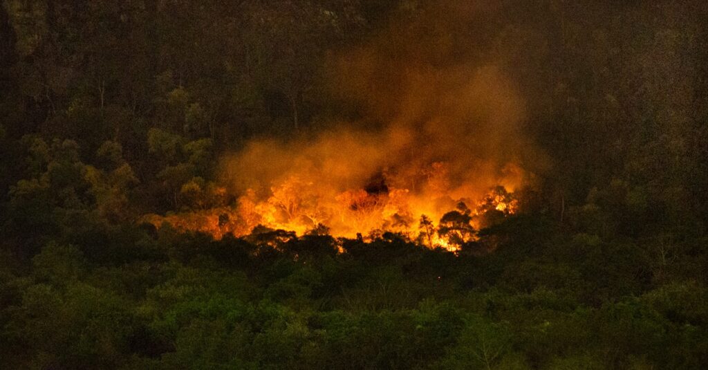 Parque estadual da serra de Ouro Branco