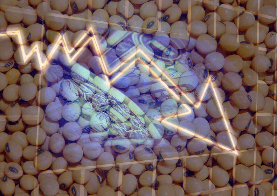 soja preço baixo guerra comercial