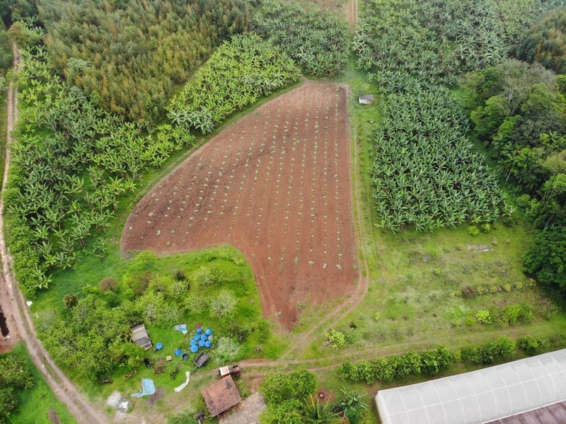 Propriedade rural na capital paulista