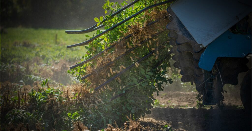 Lei do licenciamento, celebrada pelo agronegócio, retira proteção especial da Mata Atlântica e acelera licenciamento para obras estratégicas