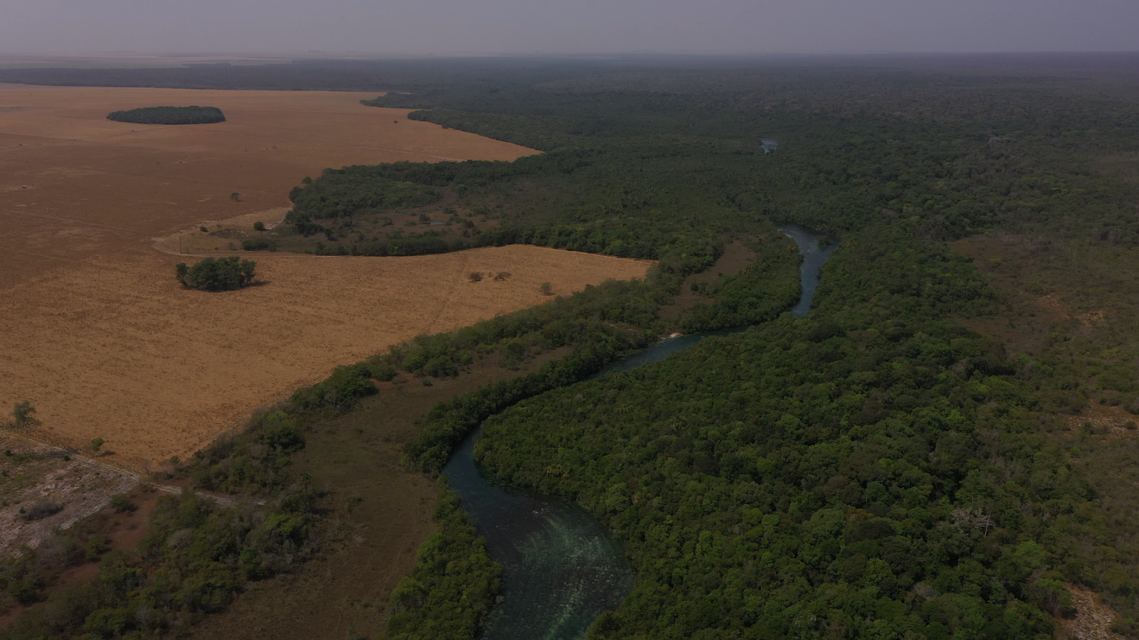 Propriedade rural em Sapezal (MT)