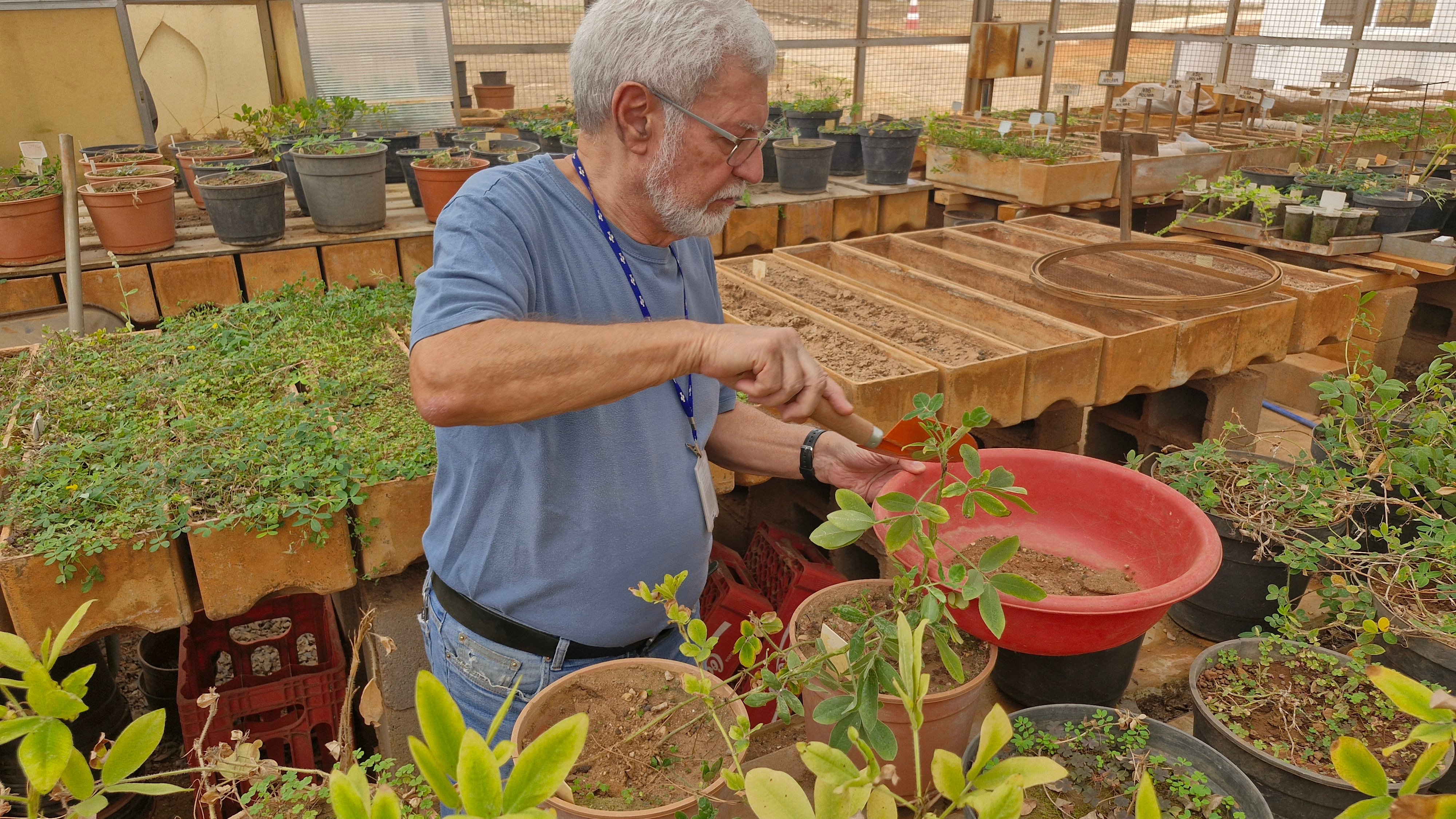 José Valls, pesquisador da Embrapa
