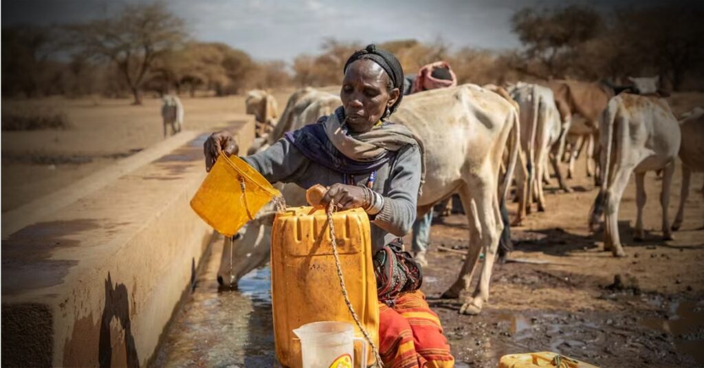 A falência hídrica tornou mais difícil encontrar água para o gado e levou à desnutrição generalizada em partes da Etiópia