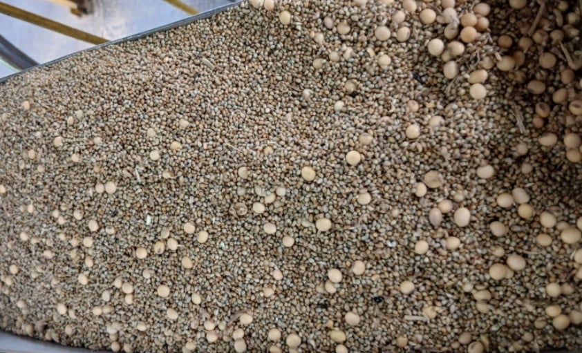 carga adulterada soja