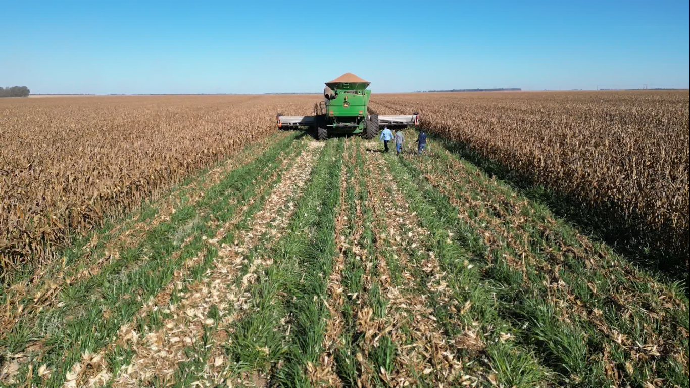Foto: Reprodução/Giro do Boi.