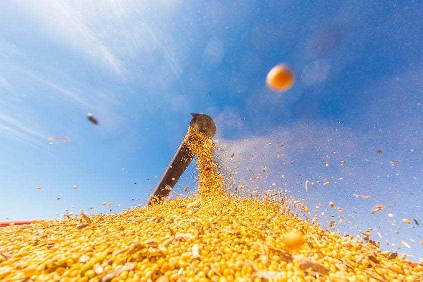 Descarregamento de Soja