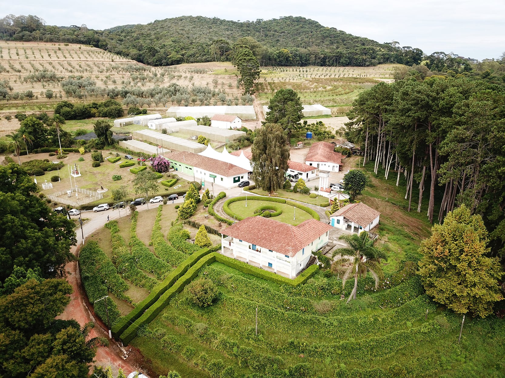 Campo Experimental de Maria da Fé - Azeitech
