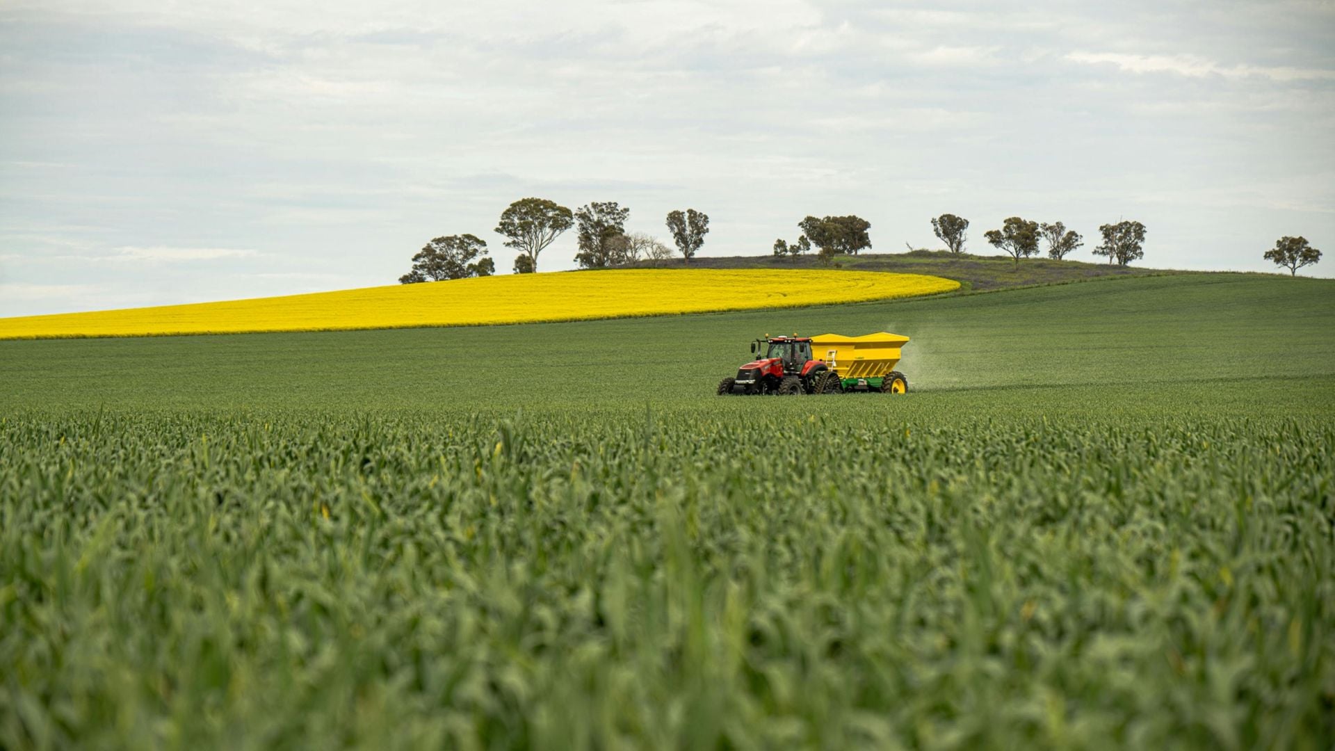 Propriedade rural. Foto: Canva