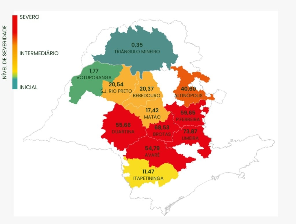 incidência do greening por região