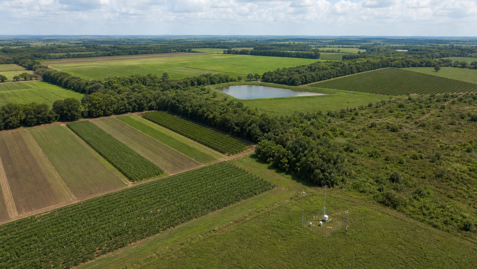 Brasil apresenta soluções agropecuárias da COP30 à delegação da COP31