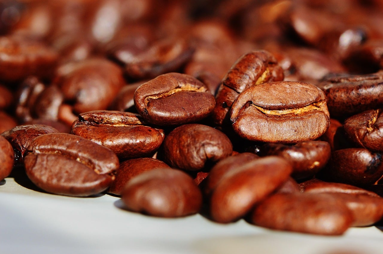 grãos de café torrado