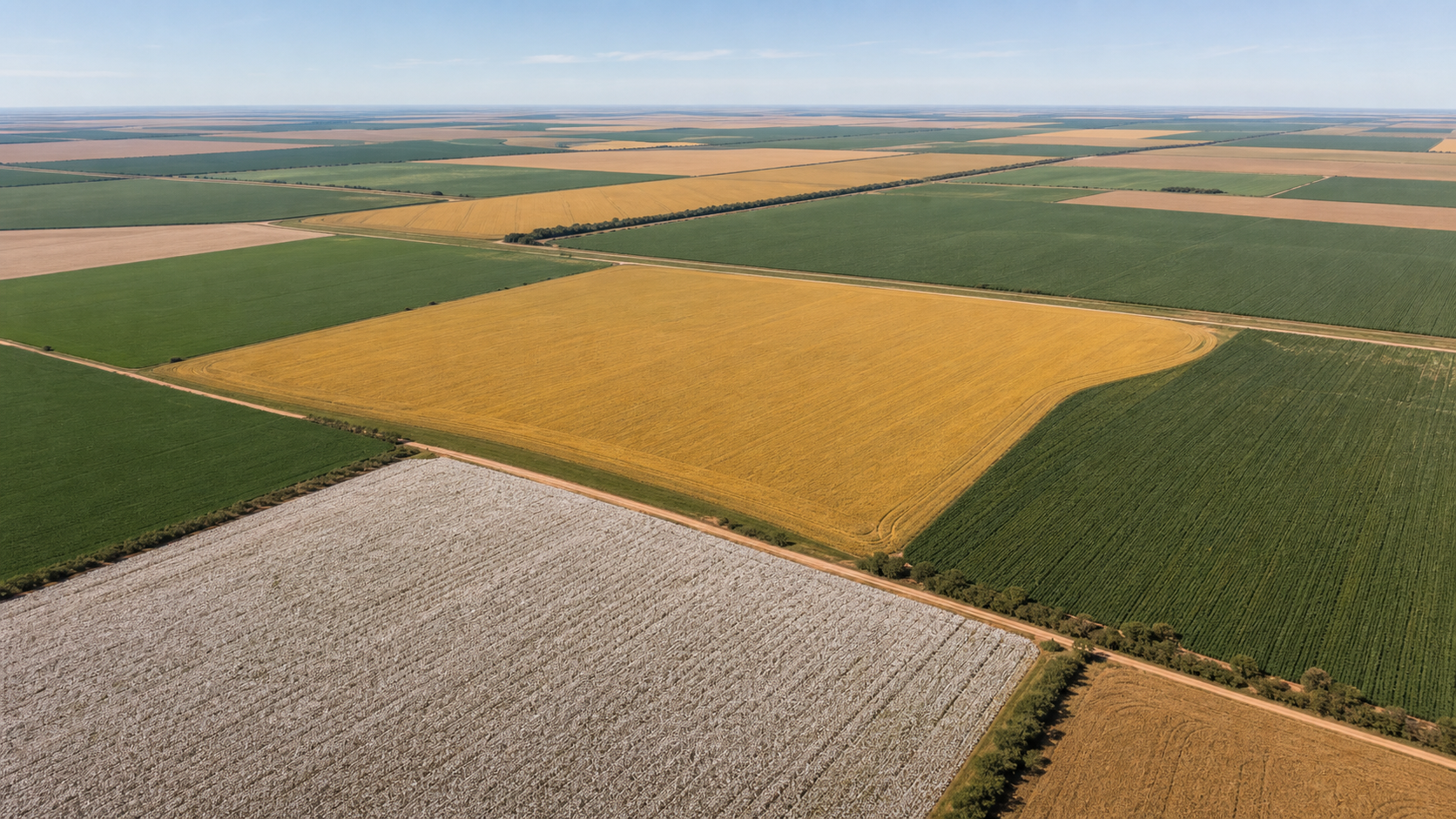 SLC Agrícola decidirá em 30 dias sobre preferência em terras da Radar