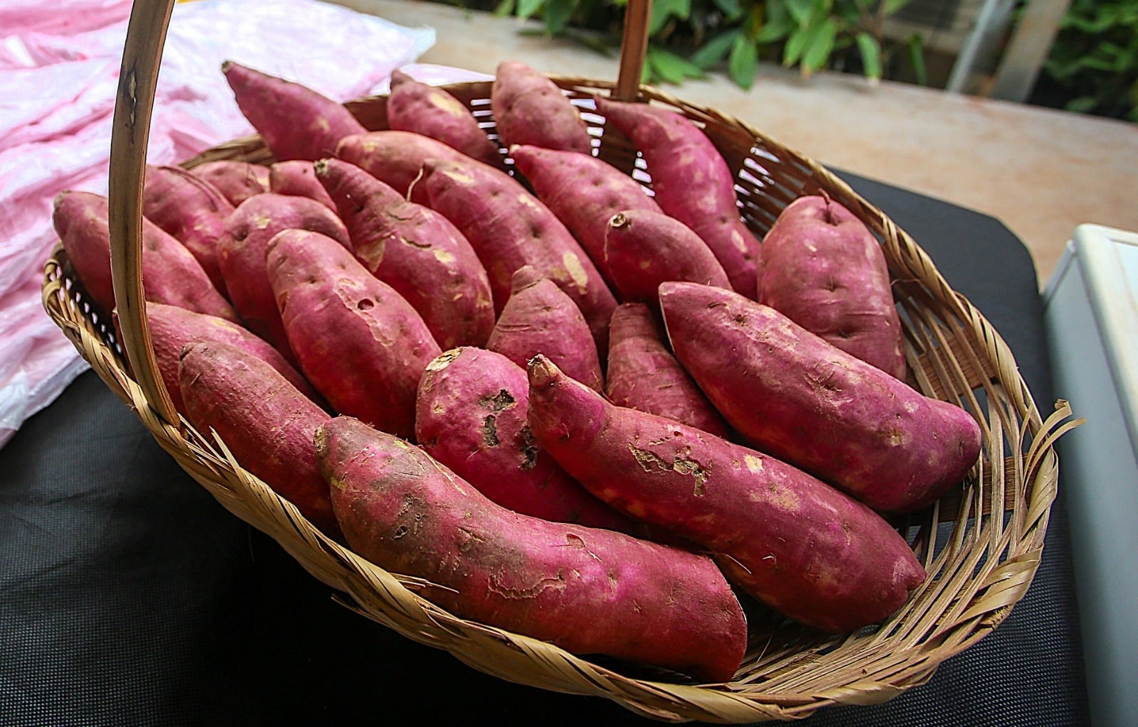 batata-doce