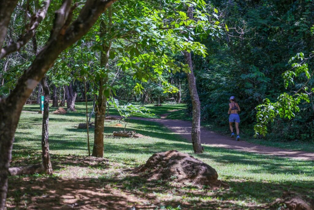 Parque Olhos d’Água, Asa Norte, Plano Piloto. A regra ‘3-30-300’, do urbanista Cecil Konijnendijk, diz que cada pessoa deveria avistar ao menos três árvores da janela de casa, viver em um bairro com 30% de cobertura arbórea e morar a 300 metros de uma área verde