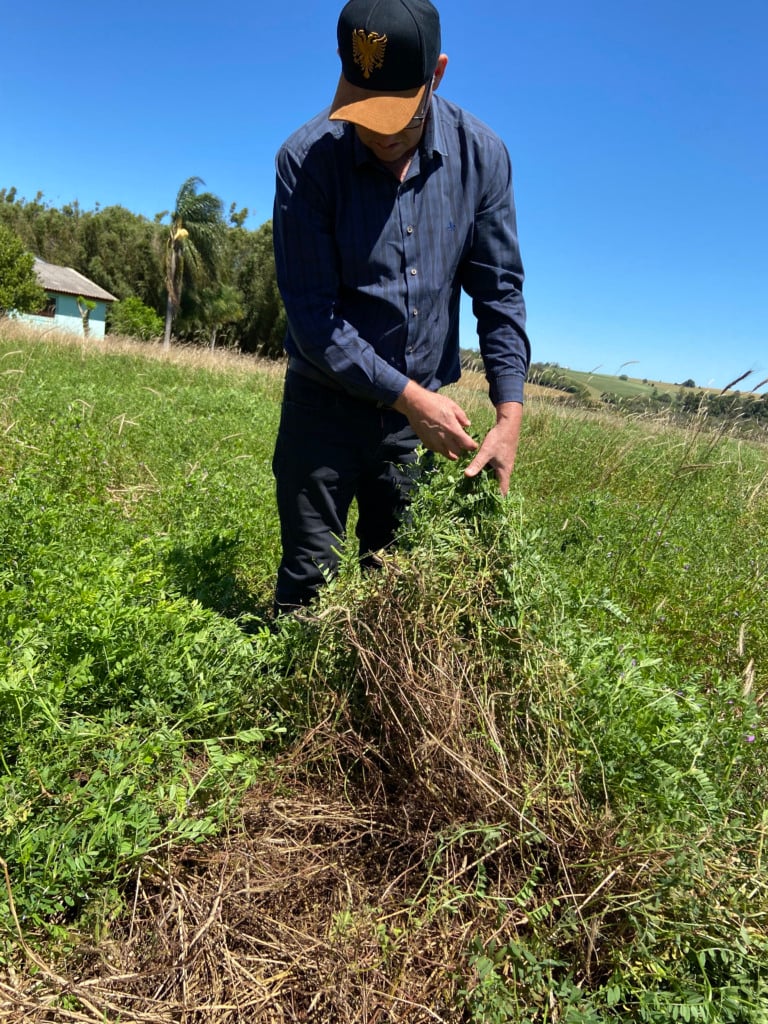 ervilhaca URS BRS Presilha, nova cultivar de forrageira