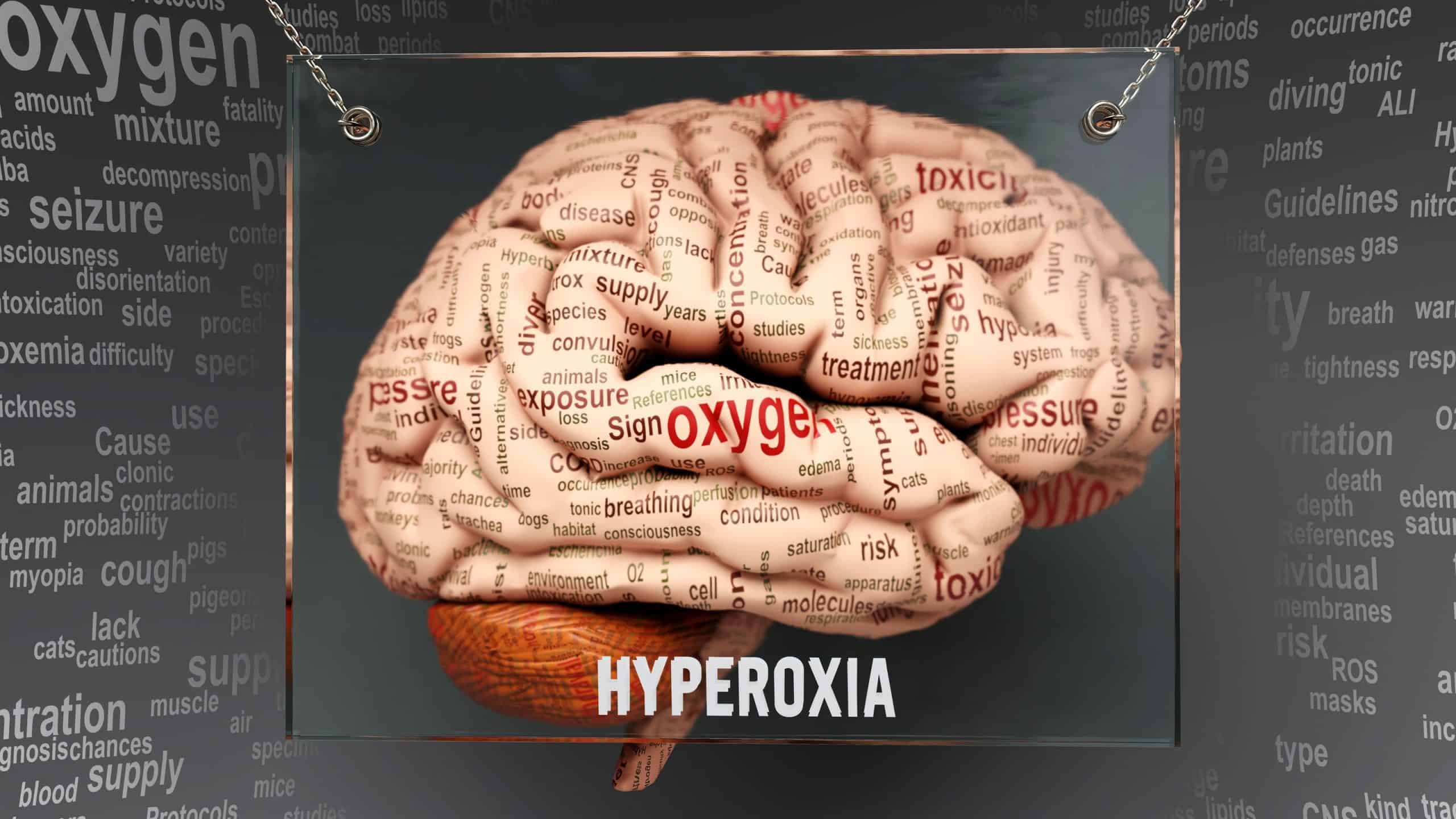 Ilustração mostra hiperoxia no cérebro humano - dezenas de termos importantes que descrevem as propriedades e características da hiperoxia pintados sobre o córtex cerebral para simbolizar a conexão da hiperoxia com a mente.