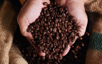 Cafarbicatemaltanopreonestasexta-feira1_0649936001754026941