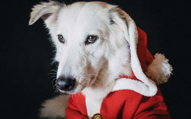 exorbrc8y05tojzu3hu3aunay