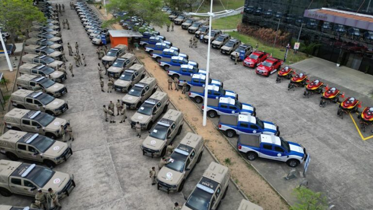 fotos-feijao-almeidagovba-7