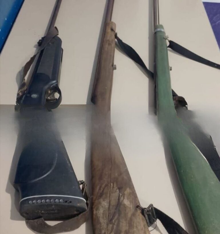 polish_20251120_072041173617534410429191528