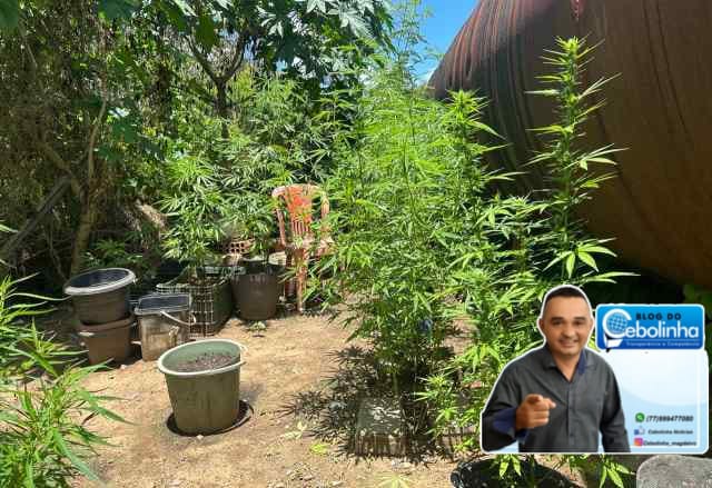 2756_img-20260109-wa0017