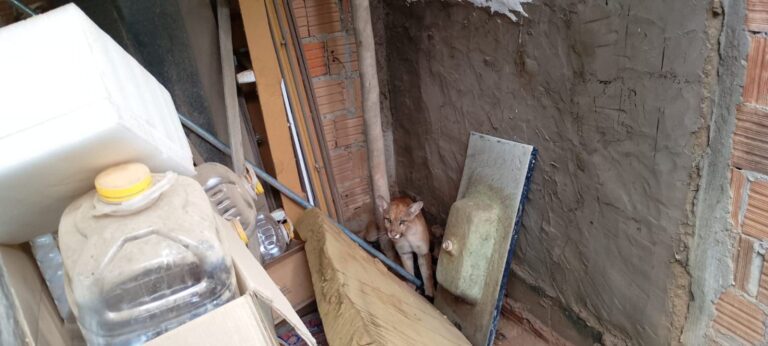 2826_img-20260120-wa0003-2-1536x691-1