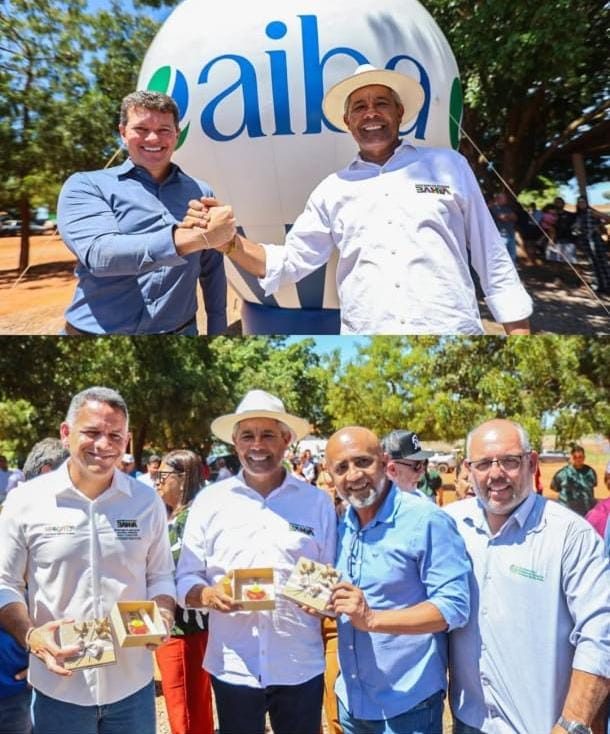 2894_img-20260128-wa00311