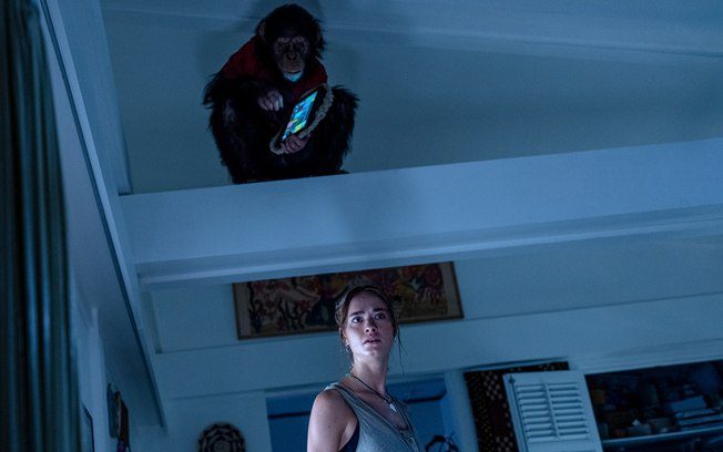 5z3fy7hcgrgb598pfm4uys21t-1