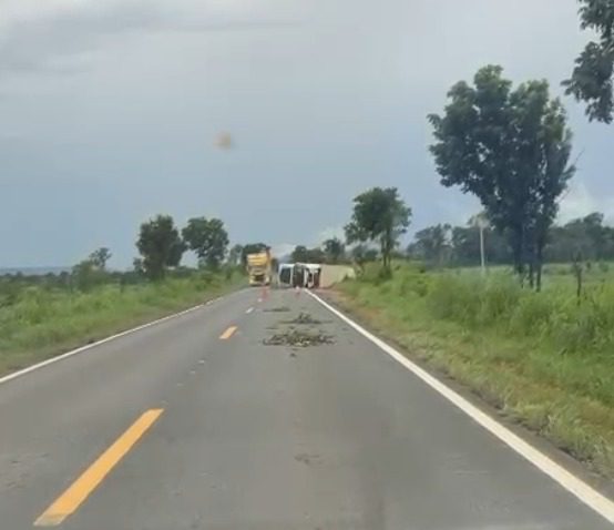 WhatsApp-Image-2026-02-20-at-173218