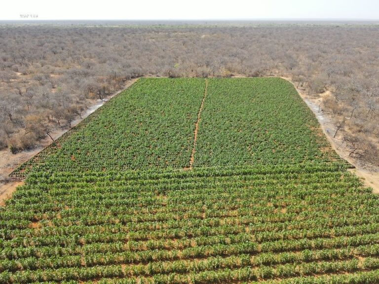 5162_img-20260331-wa00552075347737901094019