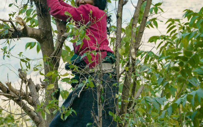 5wbyqwmqpsmq4jtapf65os4i9