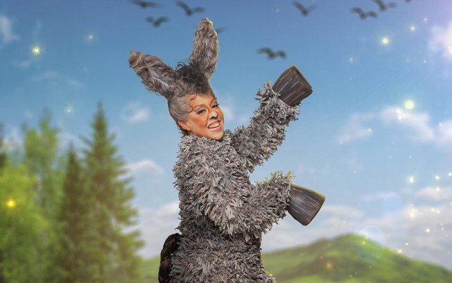 agdsn0rsy6faxf5qmkv6ei2mp