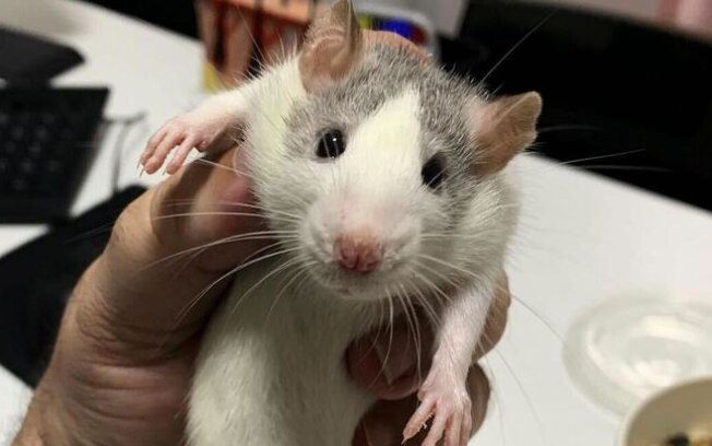 3srrmvdfh5n403gbx9lls6o3m