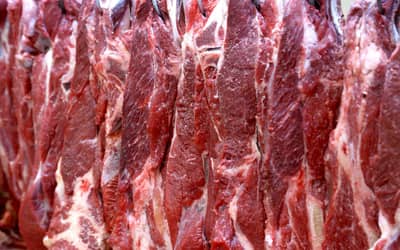 Brasilchegaa500mercadosabertosaofecharacordocomGuatemalasobrecarnebovina_0836182001779896524