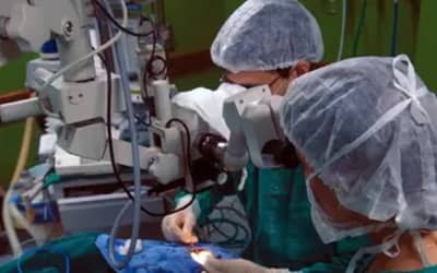 DoaodergoscomofuncionaoprocessodetransplanteealistadeesperanoBrasil_0385938001779612197
