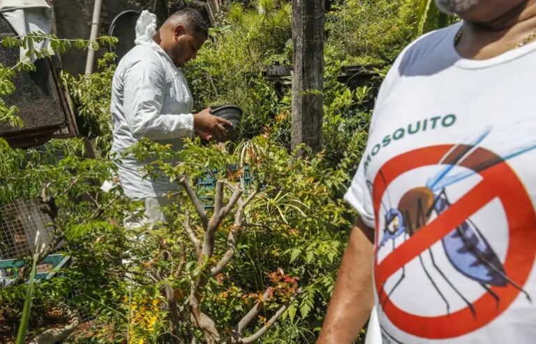 SOPAULOestadoregistra721milcasosemaisde600bitospordengueem2025_0413350001779536580