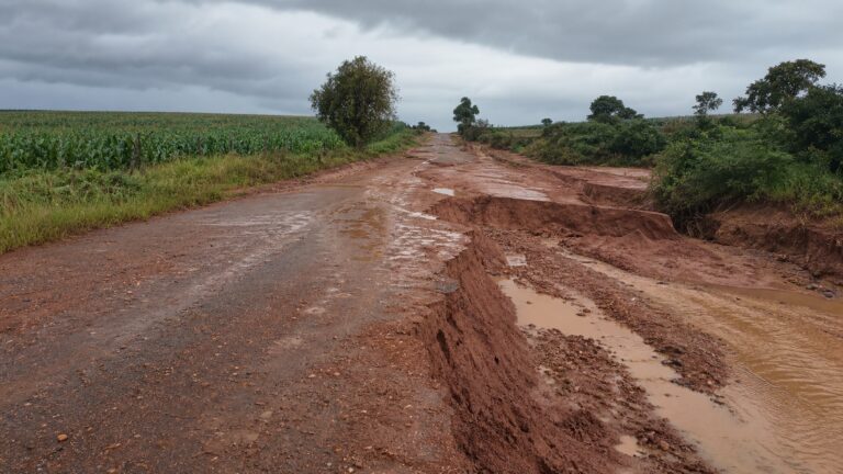 comissao-da-camara-debate-apoio-a-produtores-atingidos-por-chuvas-na-zona-da-mat