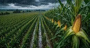 images-_18_