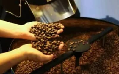 Cafhojeconfiracotaesparaestaquarta-feira10_0300896001781077308