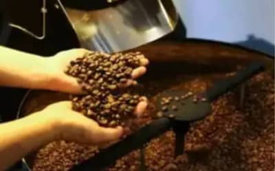 Cafhojeconfiracotaesparaestaquinta-feira11_0883775001781163709
