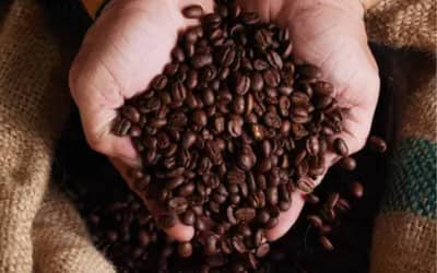 Cafhojeconfiracotaesparaestasegunda-feira29_0456074001782718975