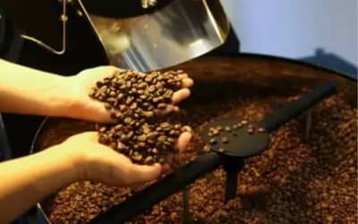 Cafhojeconfiracotaesparaestatera-feira9_0862616001780991081