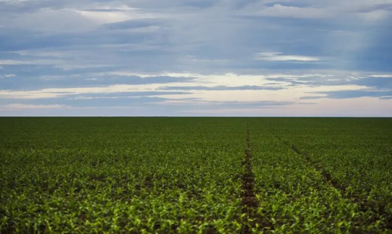 SeguroruralparlamentaresdeMGedoPRcobramfortalecimentodapolticaparadarprevisibilidadeaoagro_0483206001781912510