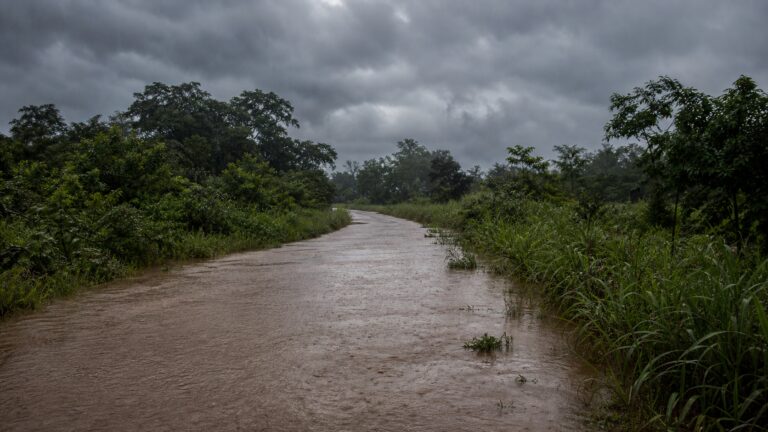 chuvas-em-roraima-mobilizam-tecnicos-federais-para-resposta-a-desastres