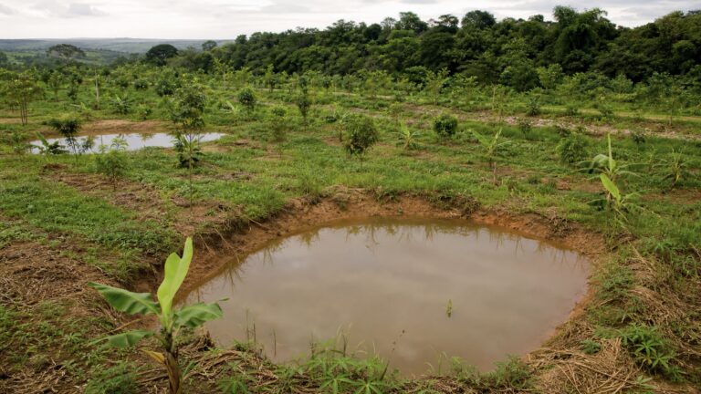 edital-destina-r-97-8-milhoes-a-projeto-para-comunidades-rurais-do-rio-doce