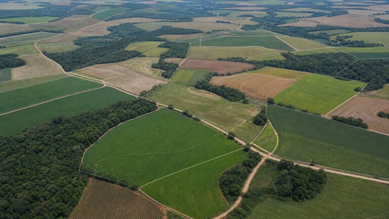 projeto-que-suspende-demarcacao-de-terra-indigena-no-parana-avanca-na-camara